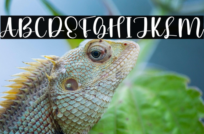 Family Gathering Example 1