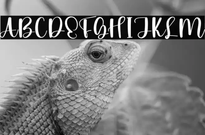 Family Gathering 字体 examples