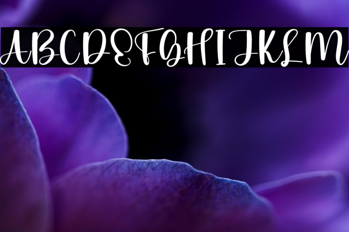 Family Gathering Example 2