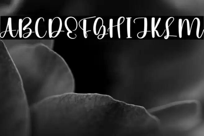 Family Gathering 字体 examples