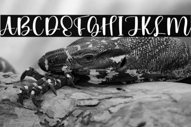 Family Gathering 字体 examples