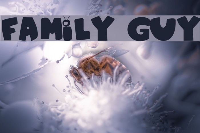 Family Guy Font examples