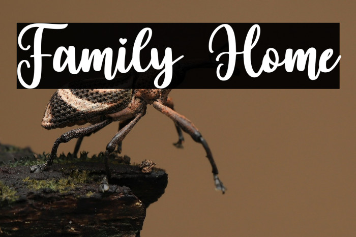 Family Home Example 3