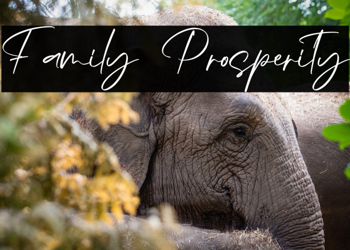 Family Prosperity Example 1