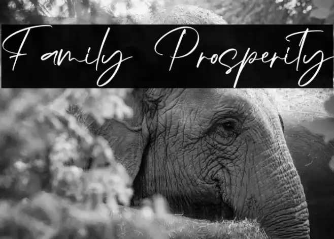 Family Prosperity Font examples