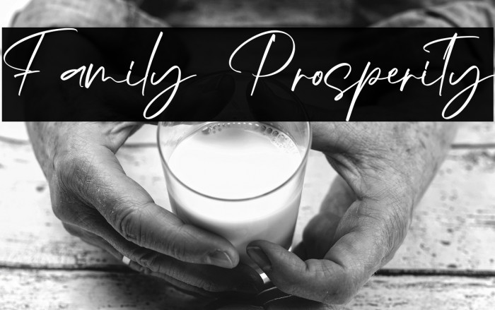 Family Prosperity Example 2
