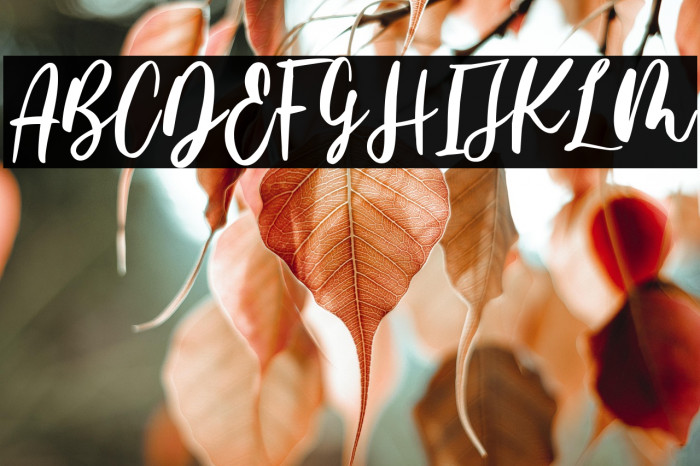 Family Times Example 1