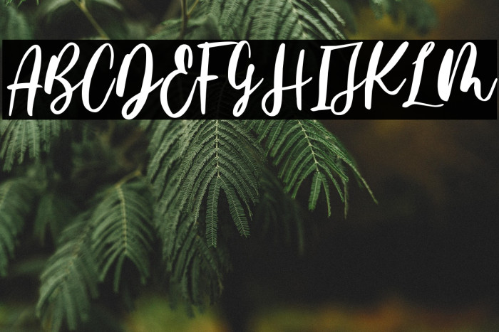 Family Times Example 3