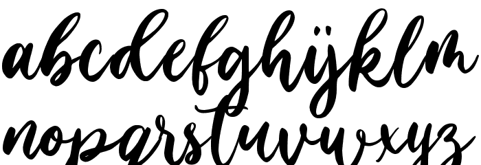 Family Times Font LOWERCASE