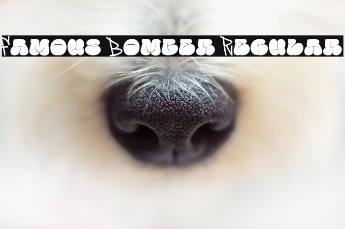 Famous Bomber Regular Font examples