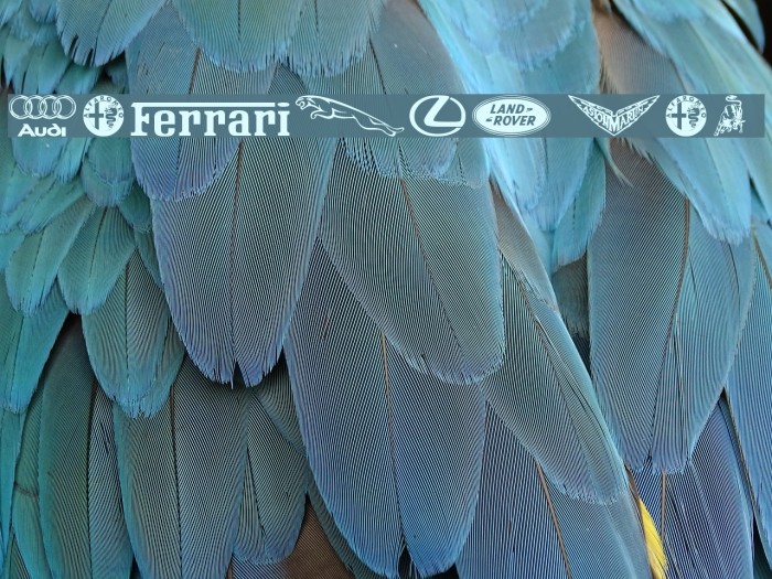Famous Car 1 Font examples