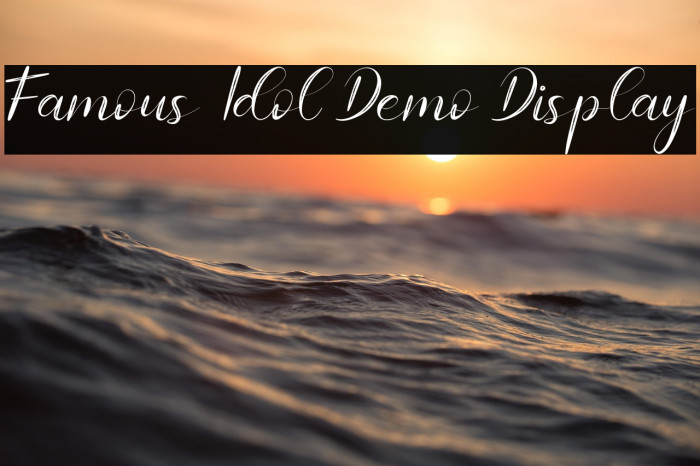 Famous Idol Demo Display Example 1