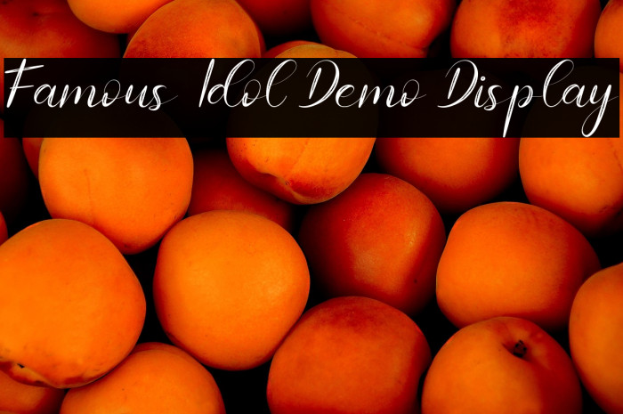 Famous Idol Demo Display Example 3