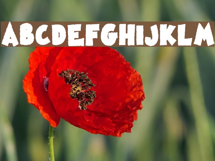 Famous Oldies Black Example 2