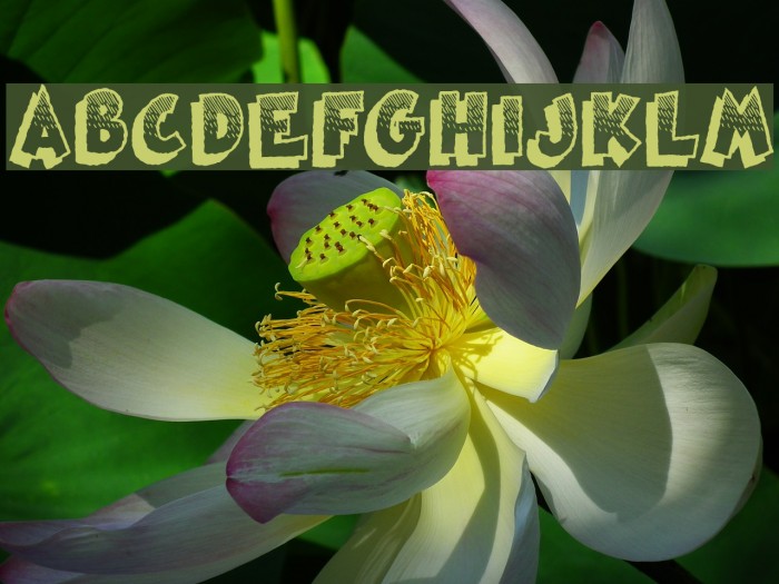 Famous Oldies Example 3