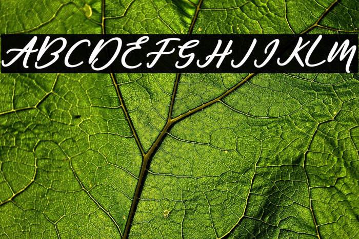 Famous-Regular Example 1