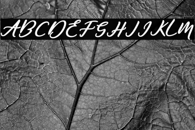 Famous-Regular Font examples