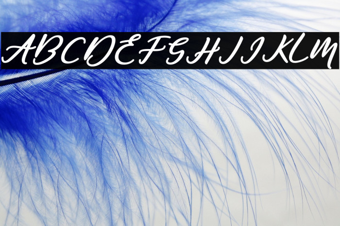 Famous-Regular Example 3