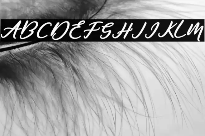 Famous-Regular Font examples