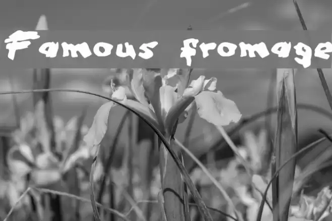 Famous fromage Font examples