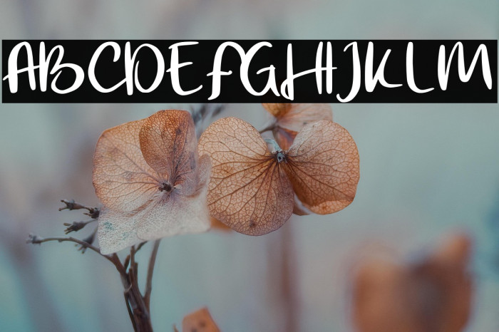 FamousFREE Example 3