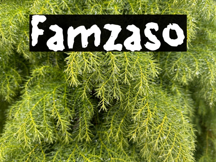 Famzaso Example 2