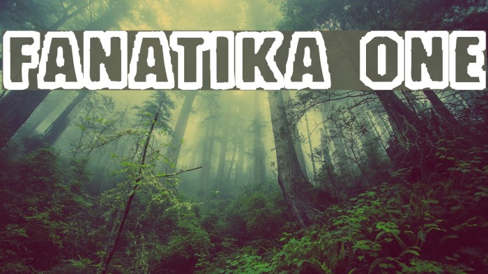 Fanatika One Polices examples