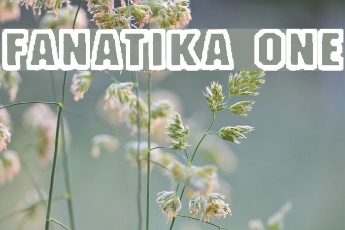 Fanatika One Polices examples