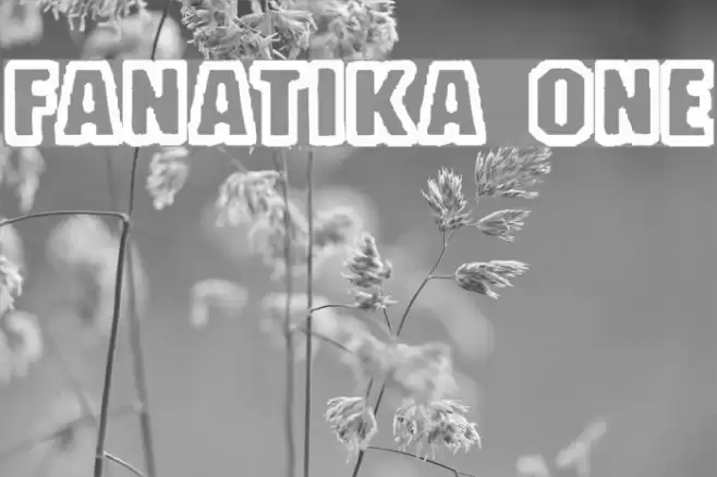 Fanatika One Polices examples