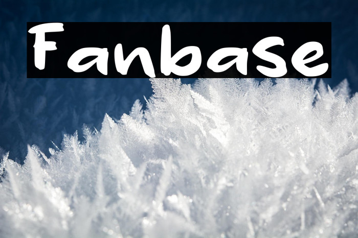Fanbase Example 2