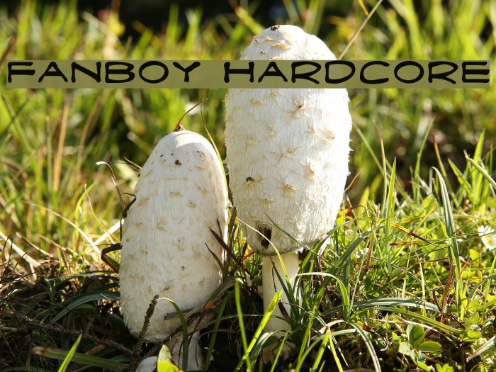 Fanboy Hardcore Font examples