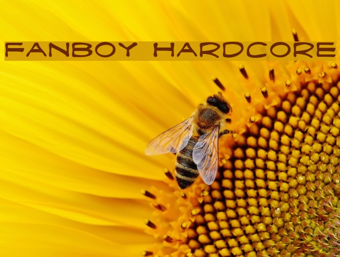 Fanboy Hardcore Font examples