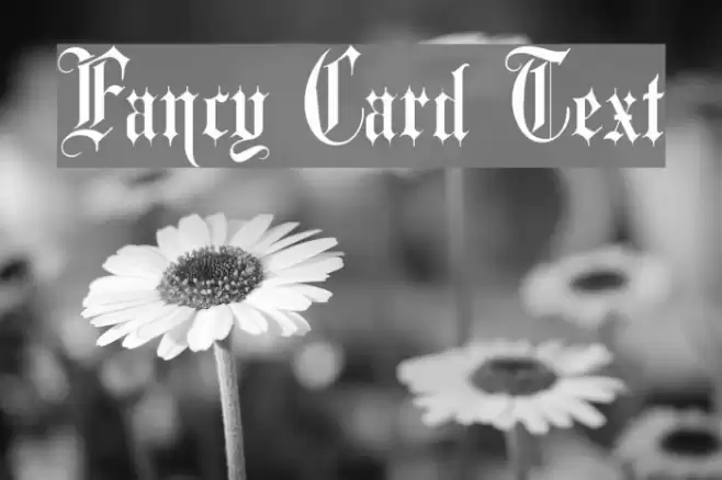 Fancy Card Text Font examples