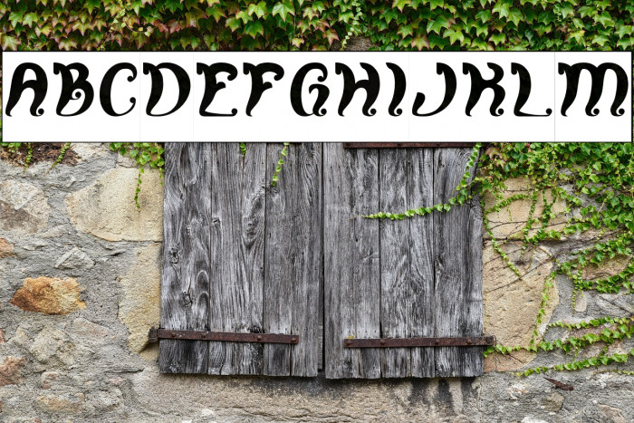 Fancy Curly-Inverse Example 3