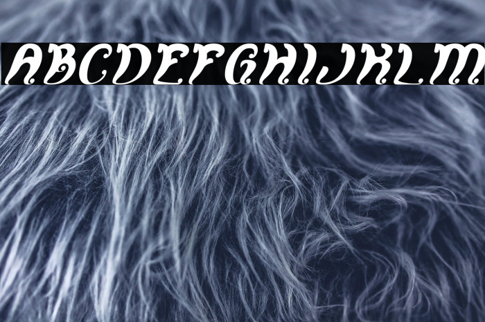 Fancy Curly Italic Example 1