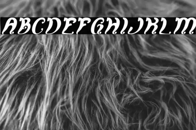 Fancy Curly Italic Font examples