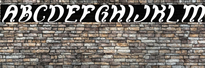 Fancy Curly Italic Example 2