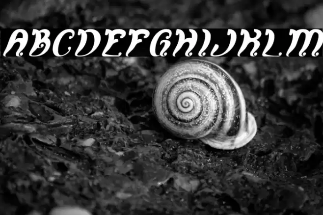 Fancy Curly Italic Font examples