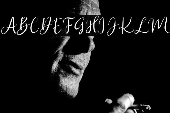 Fancy Darling Example 1