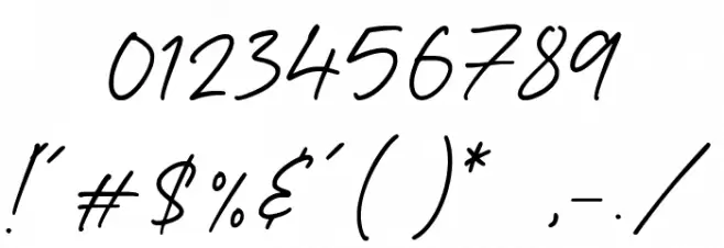 Fancy Delight Font OTHER CHARS