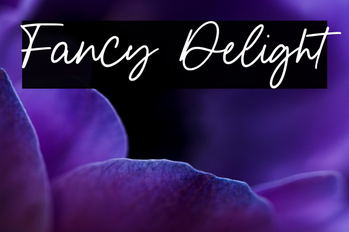 Fancy Delight Example 1