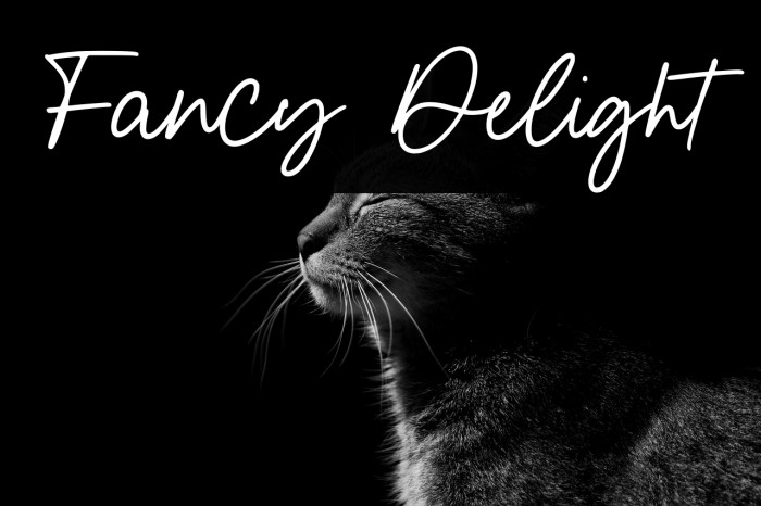 Fancy Delight Example 2