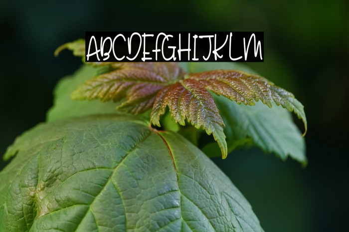 Fancy Epic Example 3