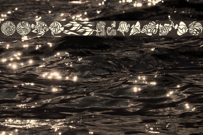 Fancy Fish Example 1