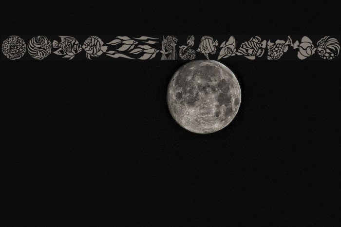 Fancy Fish Example 2