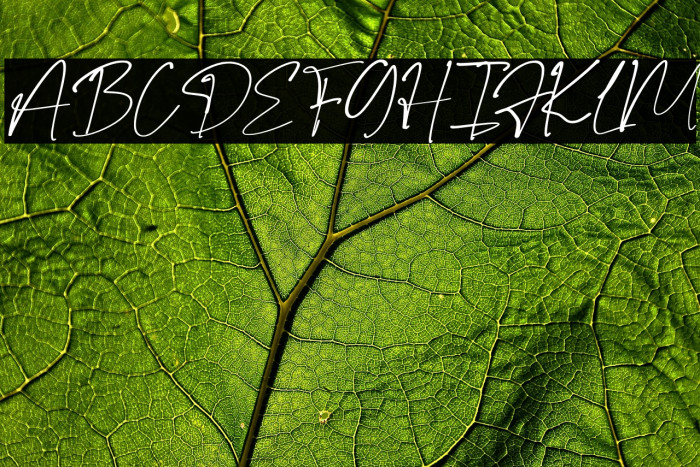 Fancy Glow Personal Use Шрифта examples