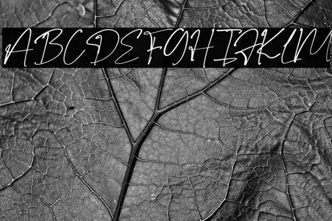 Fancy Glow Personal Use Fuentes examples