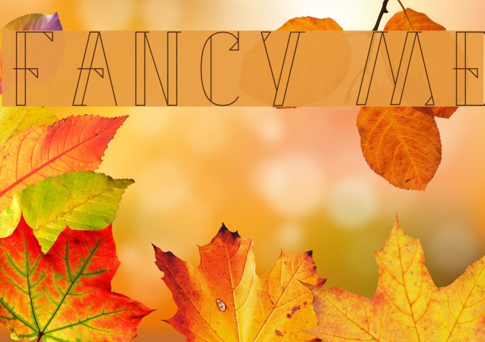 Fancy Me Font examples