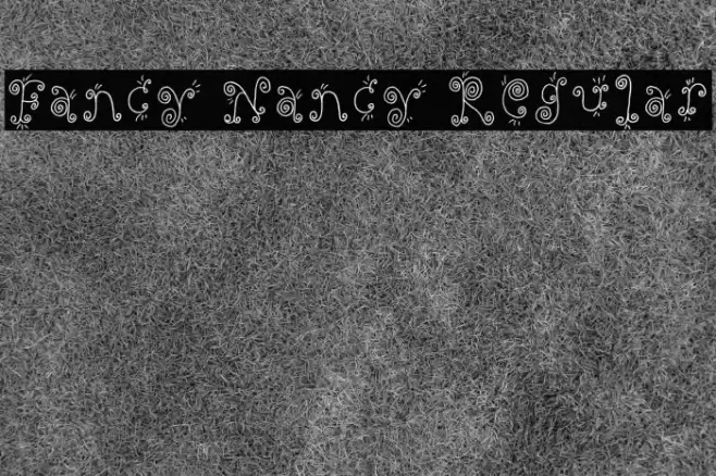 Fancy Nancy Regular Font examples