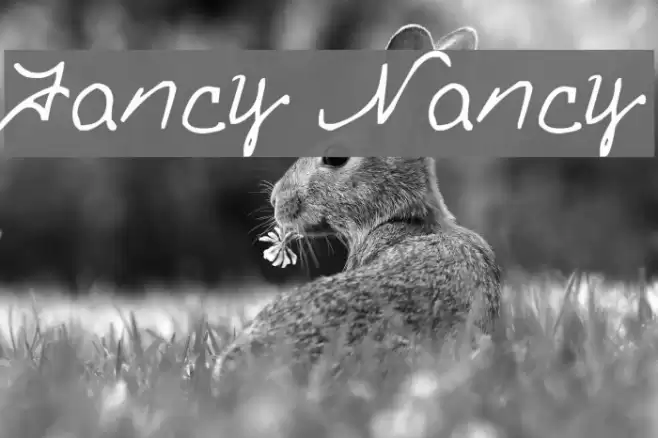 Fancy Nancy Font examples